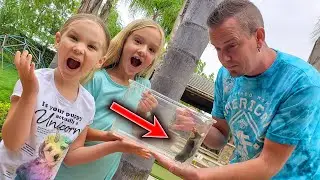 Мы спасли землекопа из бассейна! Новый питомец?