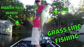 Swim Jig and Ribbon Tail Worm DESTROY LARGE Bass in GRASS | Bankhead Lake, AL | B Fishing |