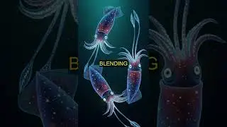 The Starlight Squid: Living Among the Stars! 🌌 (Underwater Camouflage Master! 🦑)