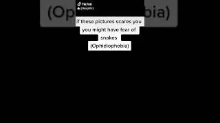 Fear of snakes!