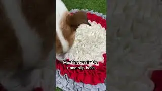 #Shorts Snuffle Mats for Dogs
