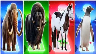 Funny Mammoth 🆚 Funny Muskox 🆚 Funny Horse 🆚 Funny Animal Coffin Dance Song 