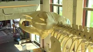 Road Trippin': Fostering curiosity at the Grand Rapids Public Museum