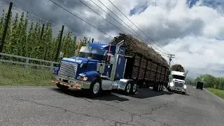 Cane Run
