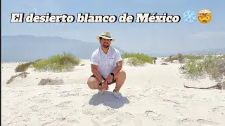 Nieve en el desierto? 😱 Descubre las Dunas de Yeso en Cuatro Ciénegas, Coahuila,