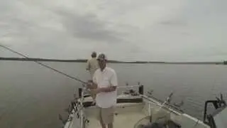 White Bass and Hybrid Striper aka Wiper
