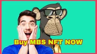 How to buy MBS NFT
