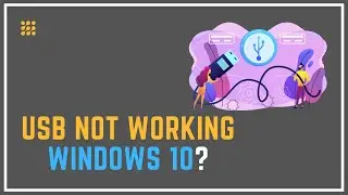 USB Not Working Windows 10? [FIXED]