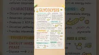glycolysis short note # ncert , scert important topic #neet #cls 12