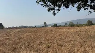 Agricultural land for sale in Raigad 8788035368 