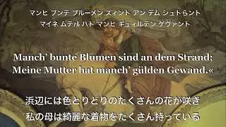 魔王[ベートーヴェン版]（Erlkönig）【歌詞和訳カタカナ付き】