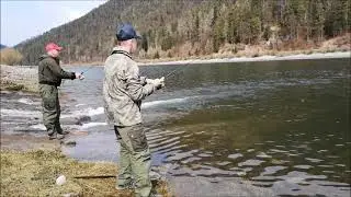 Trout Fishing - Hard baits (Nories Rooney) vs. Soft baits (FishUp Fat Scaly)
