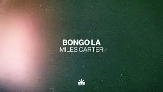 Miles Carter - Bongo La (Music Video)