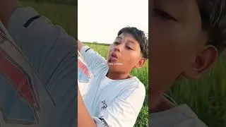 P Sambitan Boloo ‼️Gara ini Mendapatkan layangan ⛔