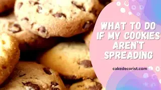 What To Do If My Cookies Aren’t Spreading