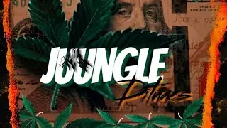 JUNGLE (VISUALIZER)