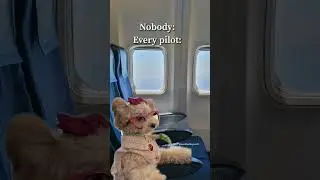 Every pilot&hellip; #noodlesthepooch #dog #adorabledog #officehumor #pilot