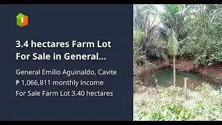3.4 hectares Farm Lot For Sale in General Emilio Aguinaldo Cavite