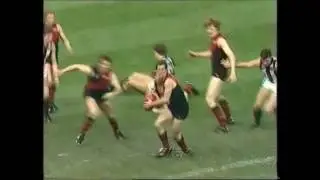 Lou Richards and Jack Dyer PF 1984