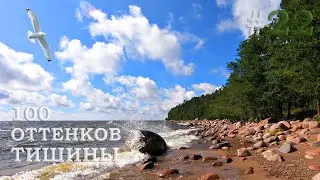 🎧 Relaxing ↪ Sea breeze ︸ Wind sound ☼ Timelapse ⟳