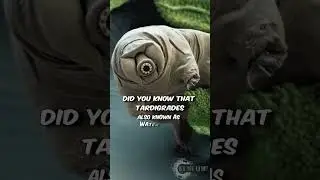 Unbelievable! Tardigrades Survive Space & Radiation | Shocking Water Bear Facts 🚀