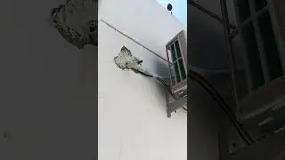samsung inverter wind free ac 1.5 ton installation and Wi-Fi connect