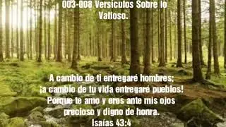 Vers&iacute;culos Sobre lo Valioso 003-008.