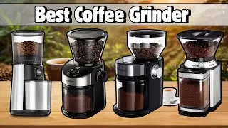 Best Coffee Grinder | Top 5 Best Coffee Grinders for Fresh, Flavorful Brews 2026