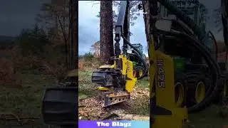 This Machine CUTS Huge Trees Like Butter! 🌳😳 So Satisfying to Watch! #woodcutting #machinepower