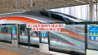 #火车迷爱好者 实拍瑞龙智行运转记录，武孝城际沿途风景很惬意#铁路摄影 #沿途随拍 #高铁🚅 #复兴号