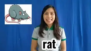 LEARNING CONSONANT SOUNDS (Cc, Rr, Nn, Bb, Gg, Pp) - SFSI KINDERGARTEN