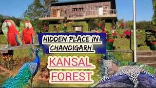 Kansal forest Chandigarh || Santuary || wildlife || Biodiversity || forest || animals
