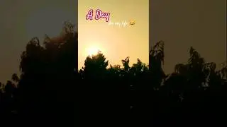 DAY 18/100 | A Day in My Life 🌿😺 | Today&rsquo;s Story #shorts #100dayschallenge #trending