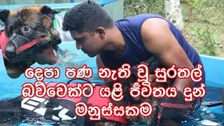 DOG WATER THERAPY