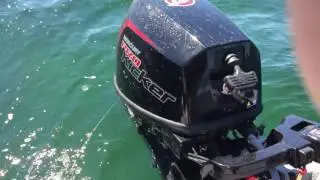 Mercury 9.9 hp pro kicker 2017