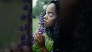 May Night Salvia #shorts #purple