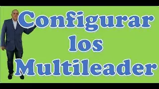 Configurar los Multileader