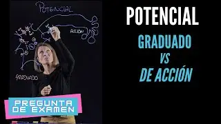 Potencial Graduado vs Potencial de Acción