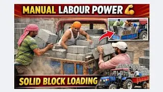 Manual Labour Power 💪 | Solid Concrete Blocks Loading into Tractor