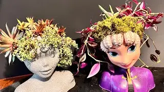 DIY faux concrete head planter