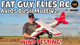 Испытания самолета AVIOS BUSH MULE V2 на ветровую нагрузку, проводимые FGFRC #авиация #радиоуправ...