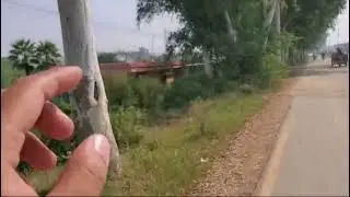 8 KANAL FARMHOUSE , BOUNDRY WITH GATE, OPPOSIT BRB CANAL, BARKI ROAD, LAHORE | Aadam Real Estate