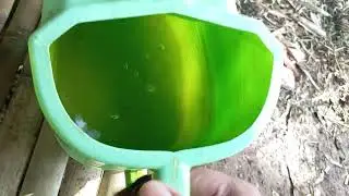 checking and watering the cayenne peppers