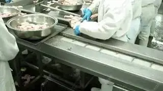 Fish Weight Sorting Machine| Fish Grading Machine