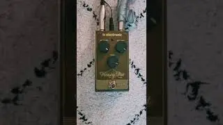 TC Electronic Honey Pot Fuzz | 1 Minute Pedal Song