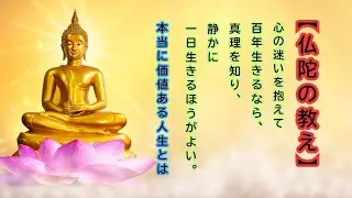 【仏陀の教え】心の迷いを抱えて百年生きるより、真理を知り静かに一日生きる方が良い理由｜人生の質を高める智慧 #仏陀の教え #マインドフルネス #人生の質 #自己啓発 #仏教の智慧