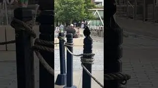 My lunch date#shorts #subscribe #birds #dc #boats #life #animals #live #fun #cute #viralshort