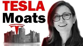 Top 4 TESLA MOATS According to ARK Invest