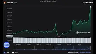 Shiba Inu    SHIB   -  Shiba Inu to USD Chart