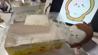 Chiikabu reviews a packaging (school work) 